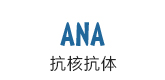 抗核抗体